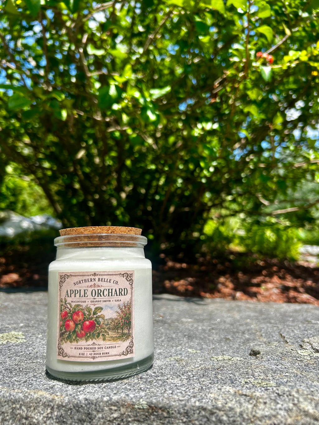 Apple Orchard