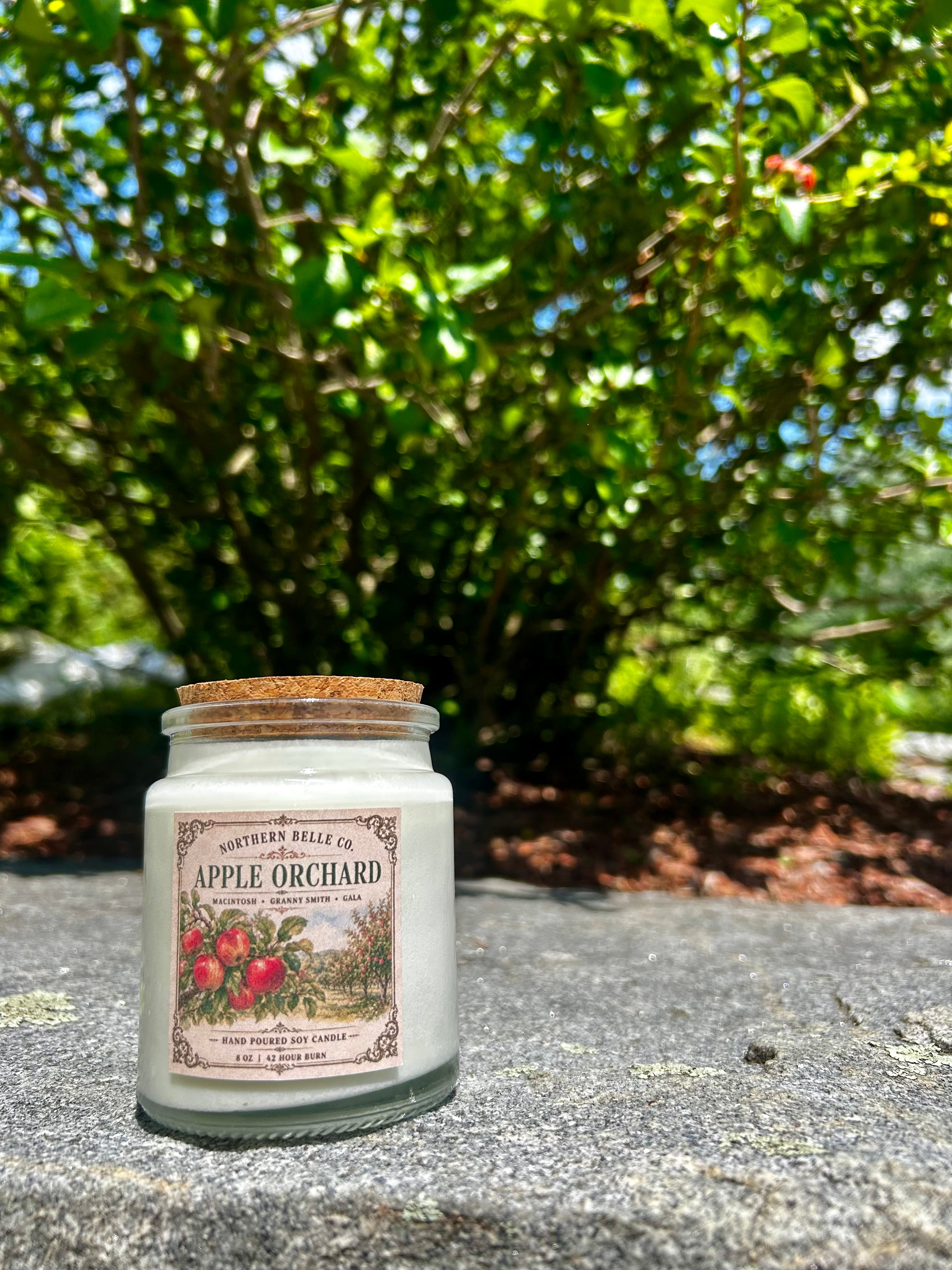 Apple Orchard